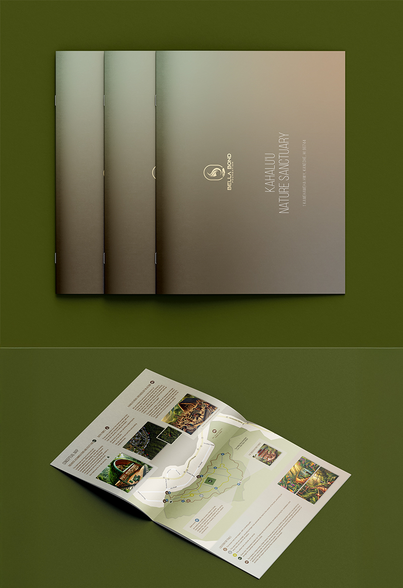 brochure catalogue flyer packaging whitepaper