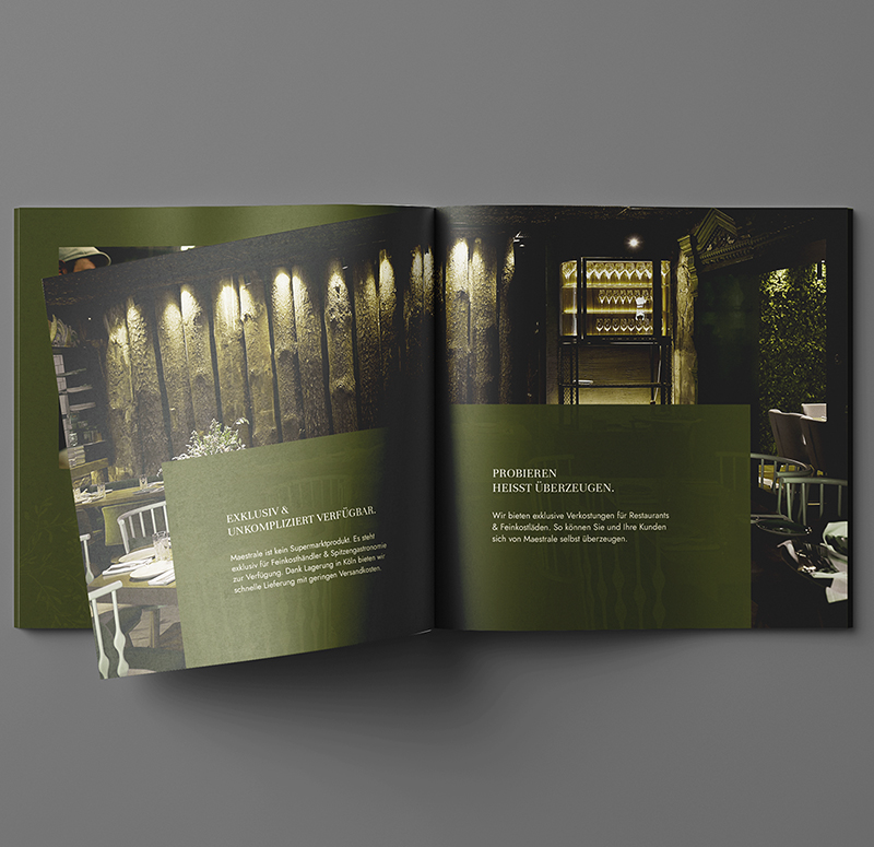 brochure catalogue flyer packaging whitepaper